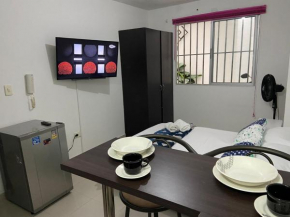 Loft en San Fernando 104